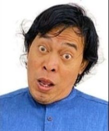 Uhuyy…Nyalon DPD RI, Komeng Paling Banyak Dikenal Pemilih