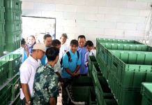 Kelurahan Limo Launching Rumah Maggot Liberya