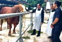 Lakukan Sidak, Hewan Kurban Wajib Miliki Surat Kesehatan