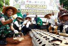 Kodim 0508/Depok Bersama Forkopimda Kembangkan Integrated Farming