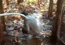Heboh! Sumur Bor di Wilayah Duren Mekar Airnya Asin, Warga Meyakini Bisa jadi Obat