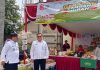 Kadis DKP3 Pantau Realisasi Gerakan Pangan Murah