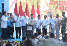 Presiden Luncurkan Program PLTS 100 GWp, PLN Siap Dukung Pengembangan EBT Menuju Swasembada Energi