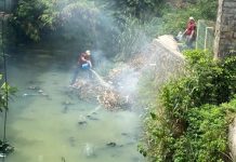 Terus Bergerak, Tim Maung Copot Ratusan Banner Ilegal dan Stop Aksi Pembakaran Sampah